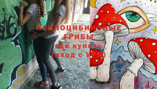 стаф Горнозаводск