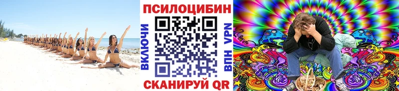Купить где  Краснотурьинск  Псилоцибиновые грибы ЛСД 